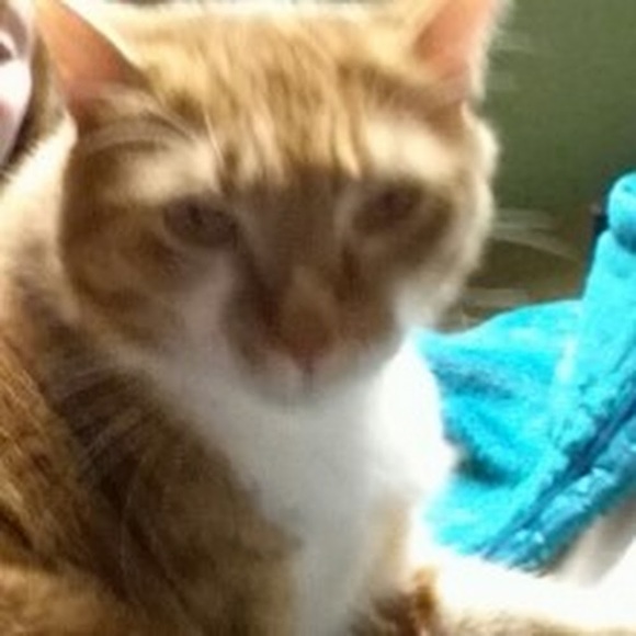 Meet your Posher, Ran - Picture 1 of 1